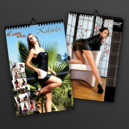Wall Calendar 2013! as PDF Download