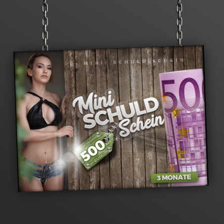 3 Monats Schuldschein 500 Euro