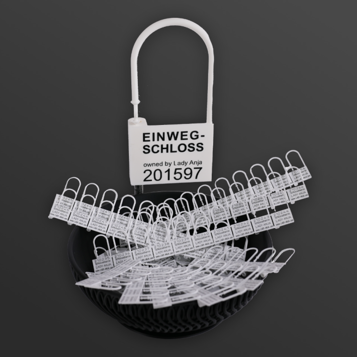 Chastity Cage Single-Use Lock! Chastity Control