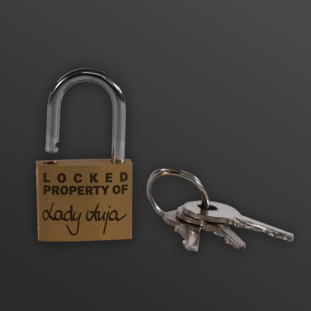 KG-Schloss graviert! Keuschheits-Kontrolle!