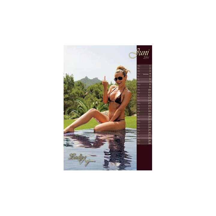 Wall Calendar 2015! as PDF Download