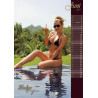 Wand-Kalender 2015! als PDF-Download