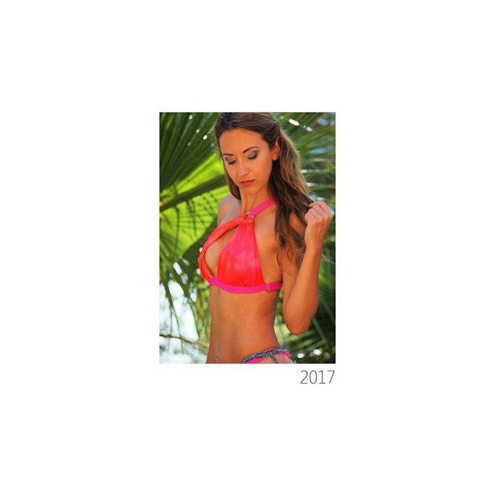 Wall Calendar 2017! as PDF Download