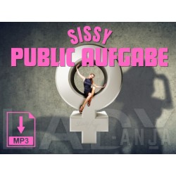 Sissy Public Aufgabe