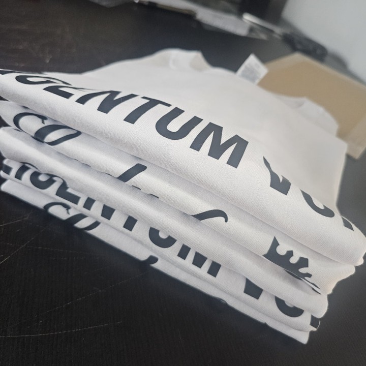T-Shirt White "Property of Lady Anja"