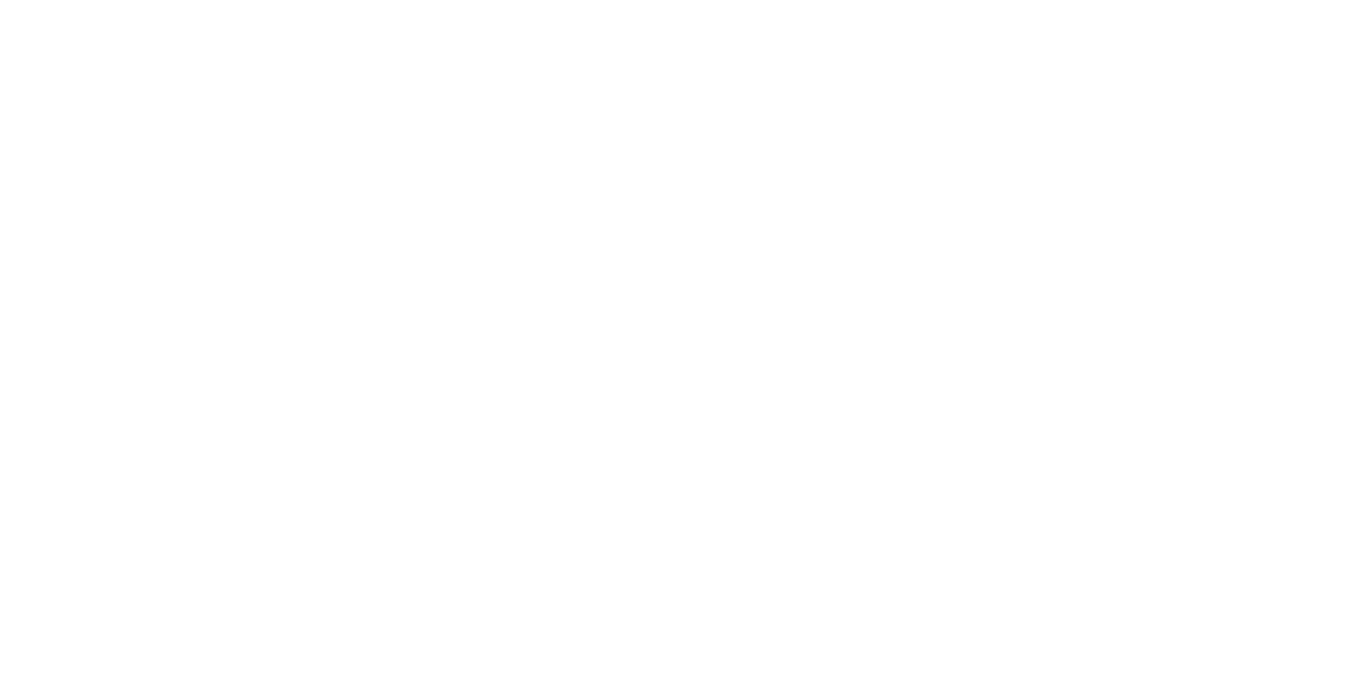 Logo Lady Anja